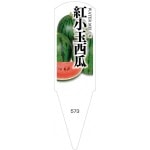 ѥ٥롡Ⱦ100No573
