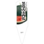 ѥ٥롡100No577
