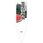 ѥ٥롡龮100No578