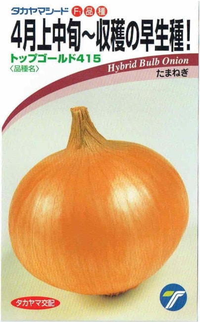 トップゴールド320 タマネギ 種子 タカヤマシード 2dl 1缶 野菜の種/種子 超極早生！トップゴールド320・タマネギ 2dl缶入