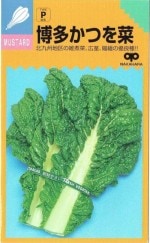 渶μ졡¿ĤڡʤĤ[̡10ml]