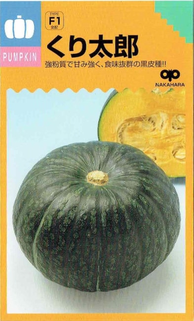 中原採種場 カボチャ くり太郎 約13粒【郵送対応】 | 【メーカー名から