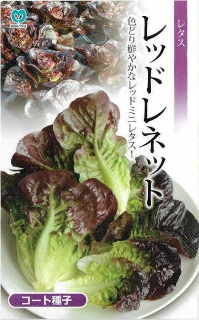 �ݼ�쥿������åɥ�ͥåȡ������ȼ����40γ��͹���б���