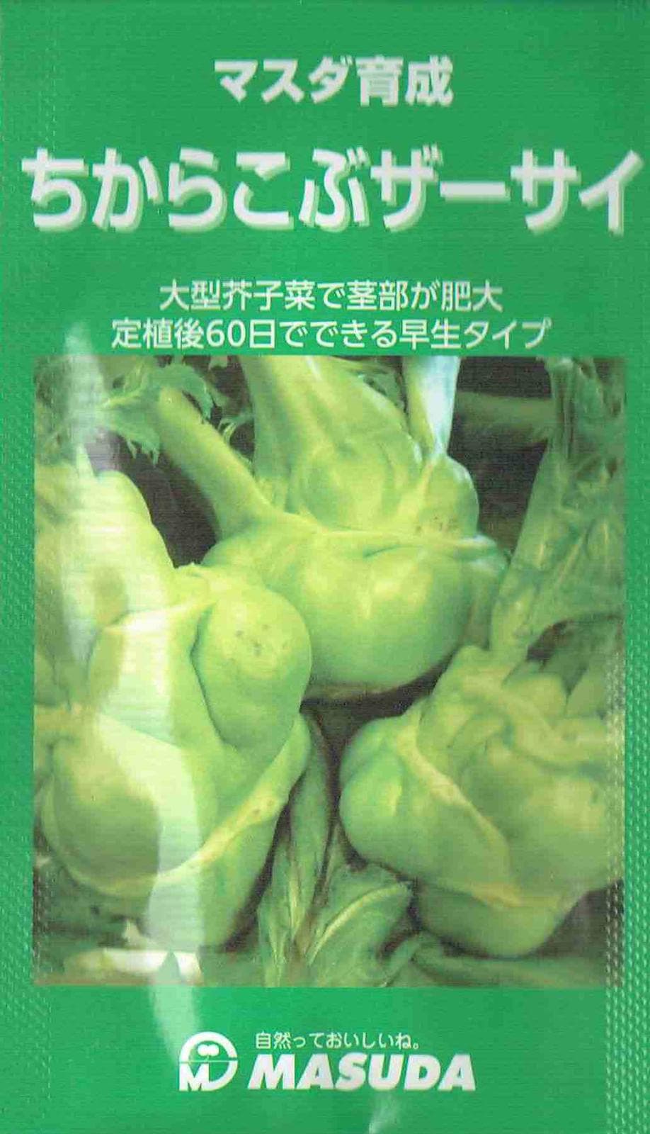 増田採種場 とくみつ キャベツ種子 コート 5000粒
