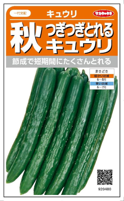 Υ͡ĤĤȤ뽩奦ꡡ36γ͹б