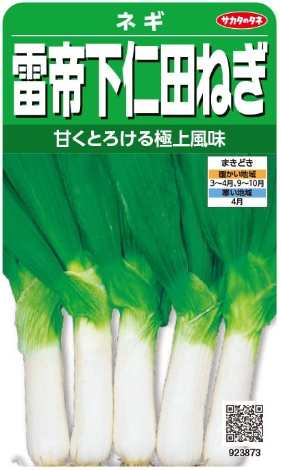 サカタのタネ ネギ 雷帝下仁田ねぎ 6ml【郵送対応】 | 【メーカー名