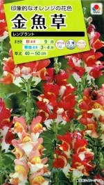 ���������ġ�����𡡥��֥��ȡ�0.05ml��͹���б���