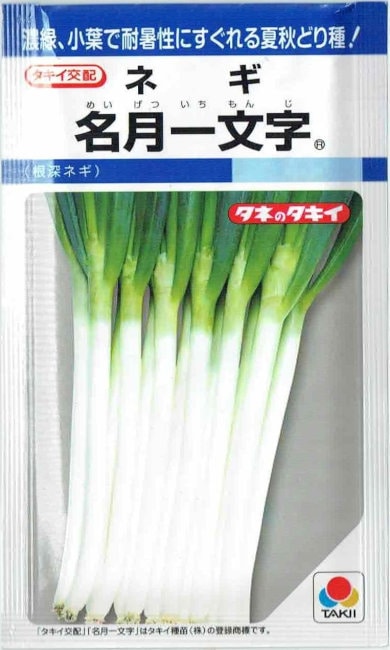 ネギのタネ】