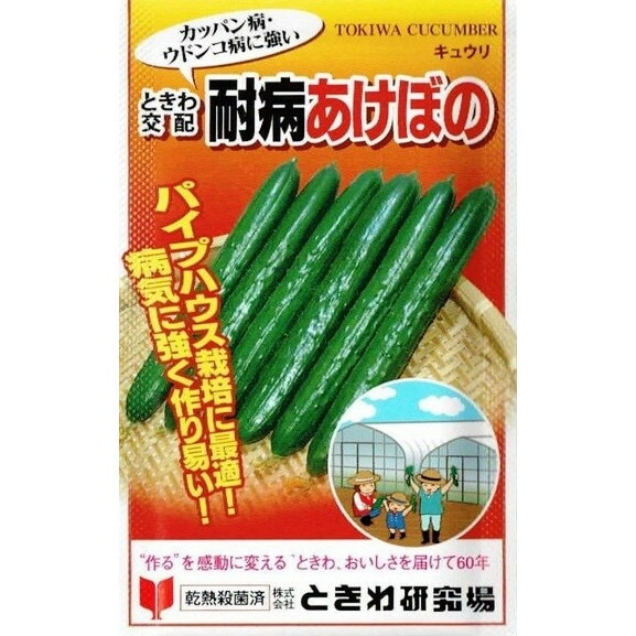 Ȥ︦ꡡ奦ꡡ¤ܤΡ20γ͹б