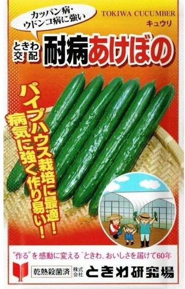 �Ȥ��︦��ꡡ���奦�ꡡ���¤����ܤΡ���20γ��͹���б���