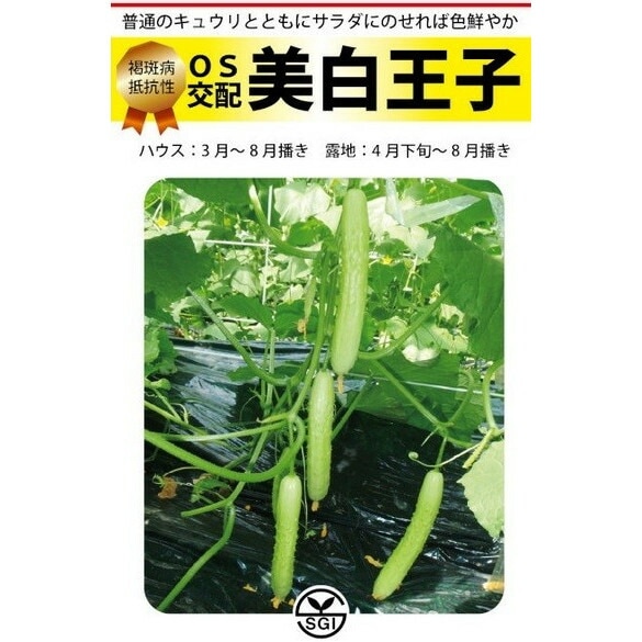 ̸񡡥奦ꡡ򲦻ҡ10γ͹б