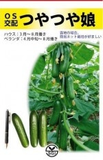 ��̸�������񡡥��奦�ꡡ�Ĥ�Ĥ�̼����10γ��͹���б���