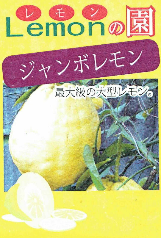 ֥ܥףݥåġ10ȯʬͽ