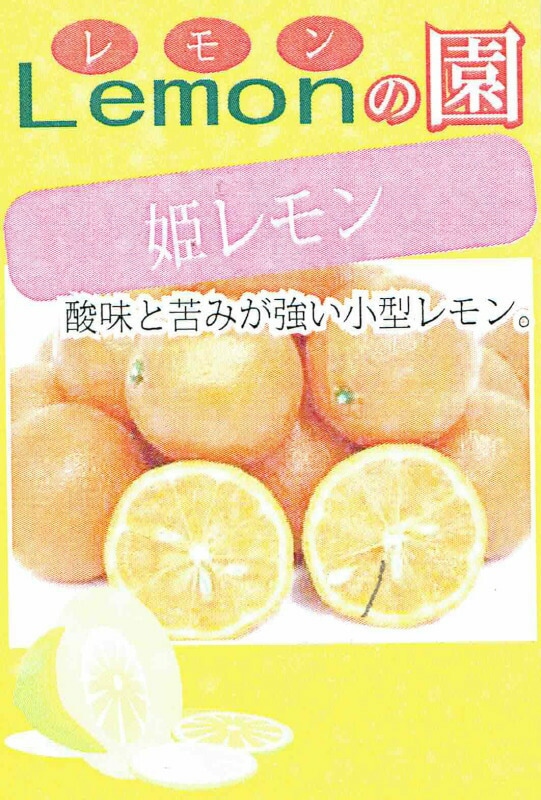 ɱףݥåġ10ȯʬͽ