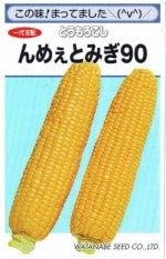 ���պμ�졡�ȥ������������ᤧ�Ȥߤ���������47γ��͹���б���