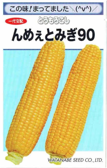 渡辺採種場 トウモロコシ んめぇとみぎ90 約47粒【郵送対応
