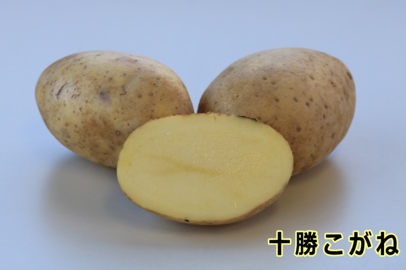 �ڼ兩�㥬���⡦�襤��ֽۡ��������͡ʤȤ��������͡ˡפμ露�㤬���⡡�󣵣��������ڽե��㥬�����ѣ������ܡ������ȯ����