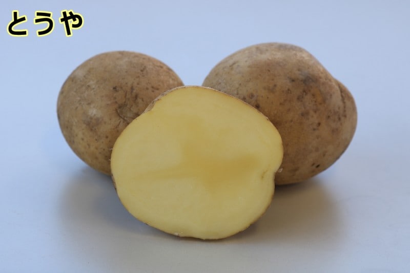 �ڼ兩�㥬���⡦�襤��֤ۡȤ���פμ露�㤬���⡡�󣵣��������ڽե��㥬�����ѡ��������ܡ������ȯ����