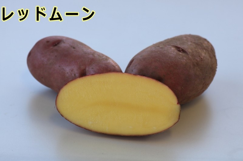 �ڼ兩�㥬���⡦�襤��֥ۡ�åɥࡼ��פμ露�㤬���⡡�󣵣��������ڽե��㥬�����ѡ��������ܡ������ȯ����