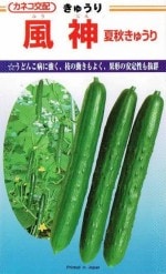 ���ͥ����ġ��ƽ����夦�ꡡ������[�����̡���10γ]