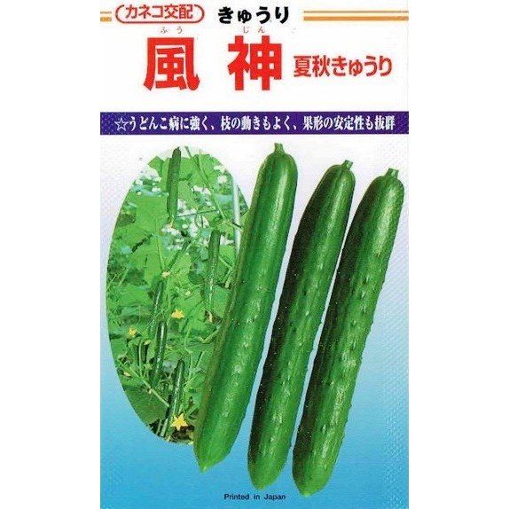 森のきゅうりさま依頼資料 ときわ研究場 キュウリ 漬丸くん 約20粒【郵送対応】 | 【野菜の