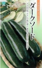 �ݼ���å����ˡ������������ɡ���9γ��͹���б���