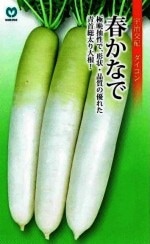 �ݼ�������󡡽դ��ʤǡ�2.5ml��͹���б���