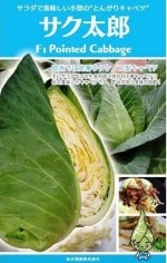 ���ʼ��ġ��Ȥ󤬤ꥭ��٥ġ�������Ϻ����100γ��͹���б���