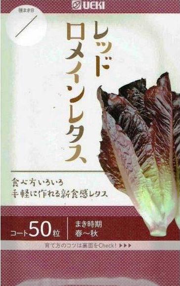 横浜植木 レッドロメインレタス コート種子約50粒【郵送対応