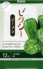 ���Ϳ��ڡ��ԡ��ޥ󡡥ԥ���������12γ��͹���б���