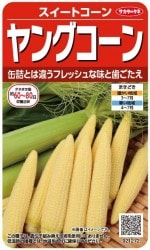 �������Υ��͡��ȥ������������󥰥�����35ml��͹���б���