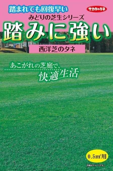 �������Υ��͡�Ƨ�ߤ˶������μǤΥ��͡�25g��͹���б���