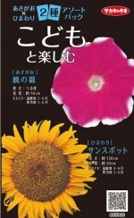 Υ͡ߤҤޤ ɤȳڤ ȥѥå͹б