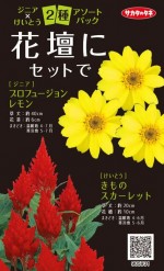 Υ͡˥ (ɴ)ߤȤȥѥå Ť˥åȤǡ͹б