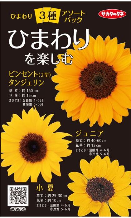 サカタのタネ ひまわり3種アソートパック ひまわりを楽しむ【郵送対応