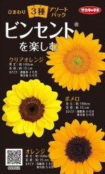 Υ͡Ҥޤ3異ȥѥå ӥ󥻥Ȥڤࡡ͹б