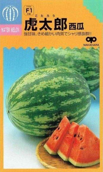 �渶�μ�졡������������Ϻ����10γ��͹���б���