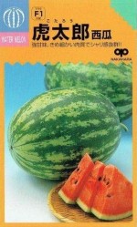 �渶�μ�졡������������Ϻ����10γ��͹���б���