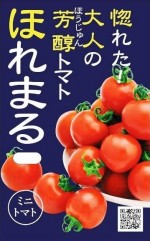 �����������ߥ˥ȥޥȡ��ۤ�ޤ롡��13γ��͹���б���