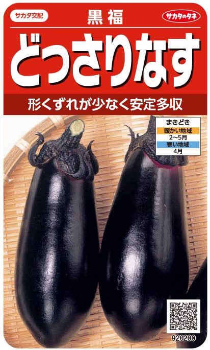サカタのタネ ナス どっさりなす 黒福 0.8ml【郵送対応】 | 【メーカー