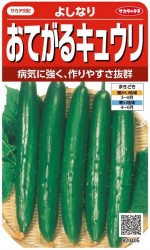 �������Υ��͡����Ƥ��륭�奦�ꡡ�褷�ʤꡡ��18γ��͹���б���