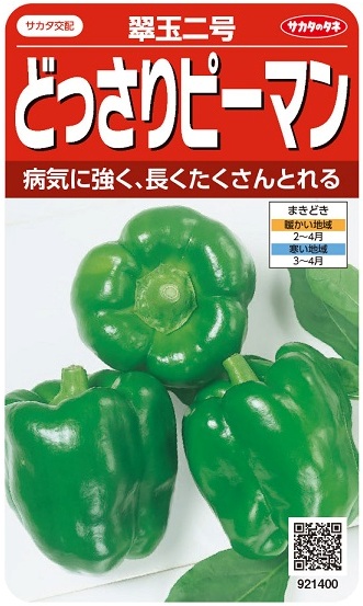 �������Υ��͡��ɤä���ԡ��ޥ󡡿����桡0.8ml��͹���б���