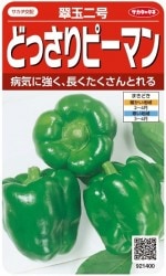 �������Υ��͡��ɤä���ԡ��ޥ󡡿����桡0.8ml��͹���б���