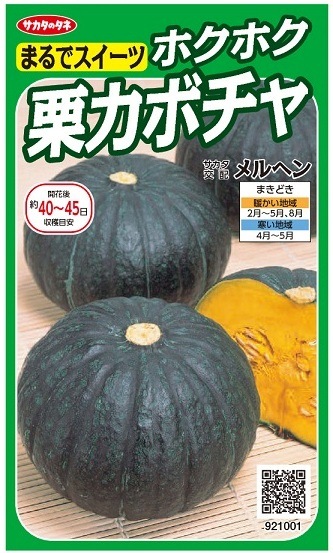 サカタのタネ ホクホク栗カボチャ メルヘン 6.5ml【郵送対応