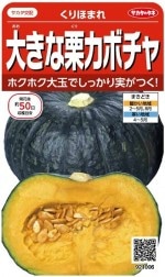 �������Υ��͡��礭�ʷ����ܥ��㡡����ۤޤ졡6ml��͹���б���