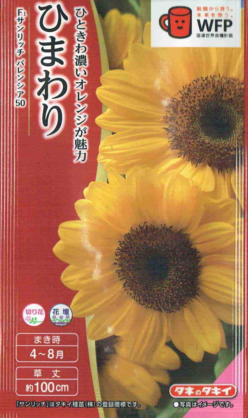 タキイ種苗 ひまわり サンセットリッチのタネ