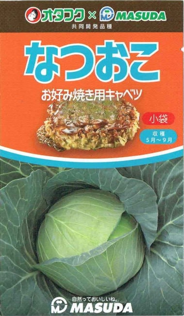 増田採種場 お好み焼き用キャベツ なつおこ ［内容量:約150粒