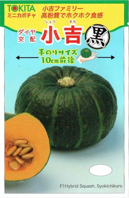 �ȥ������ġ��ߥ˥��ܥ��㡡���ȹ���[�����̡���7γ]