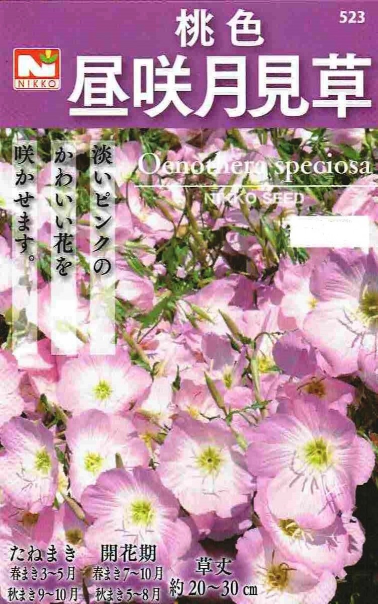 月見里茂 作 苗代 日光種苗 桃色昼咲月見草のタネ［内容量:10ml］ | 【メーカー名から