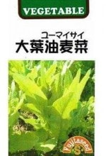 ƣ�ļ�ҡ����������ڡʥ桼�ޥ������ˡ�2ml��͹���б���